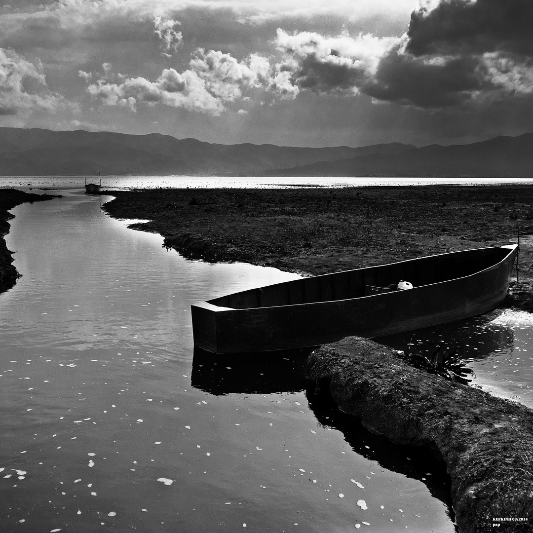 «Lake Kerkini»