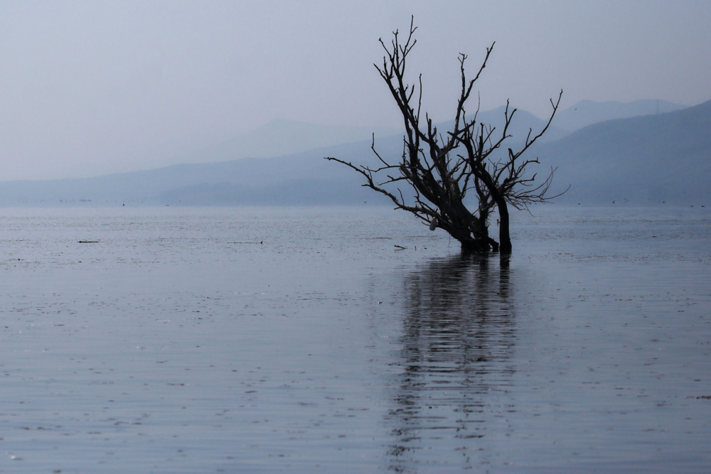 Lake Kerkini GR