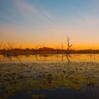 Lake Kununurra