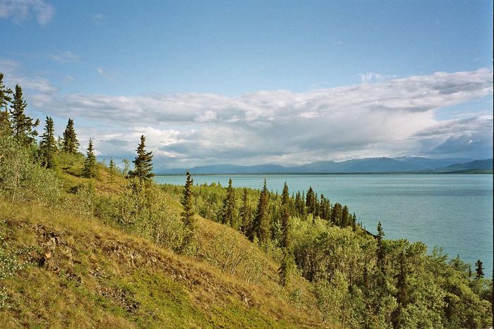 Lake Laberge(Yukon)