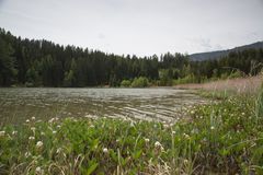 Lake Landscape in Steiermark (Austria)