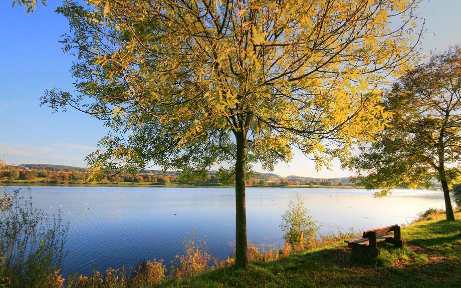 lake late afternoon