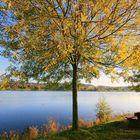 lake late afternoon