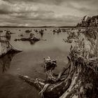 Lake Lipno