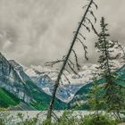 Lake Louise 01