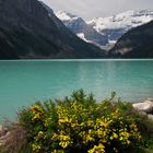 Lake Louise 1