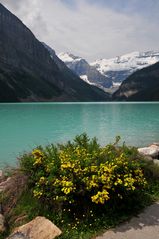 Lake Louise 1