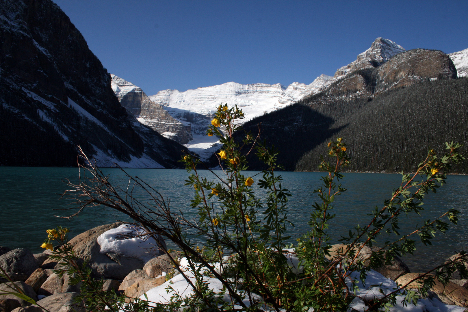 Lake Louise (Kanada) im Herbst