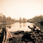 lake luisenpark