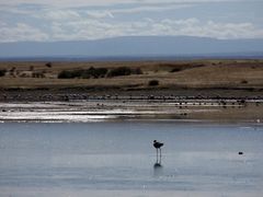 Lake Magadi