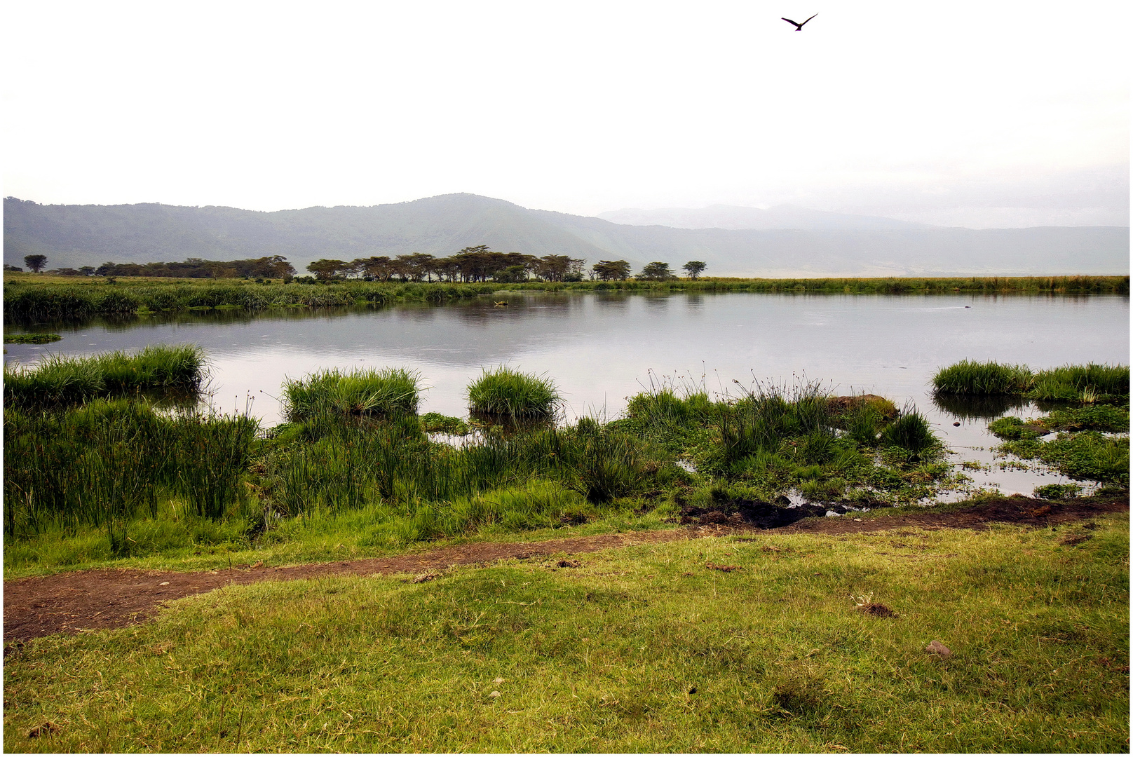 Lake Magadi (Ngorongoro)