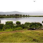 Lake Magadi (Ngorongoro)