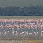 Lake Magadi, Ngorongoro Krater