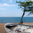 lake malawi