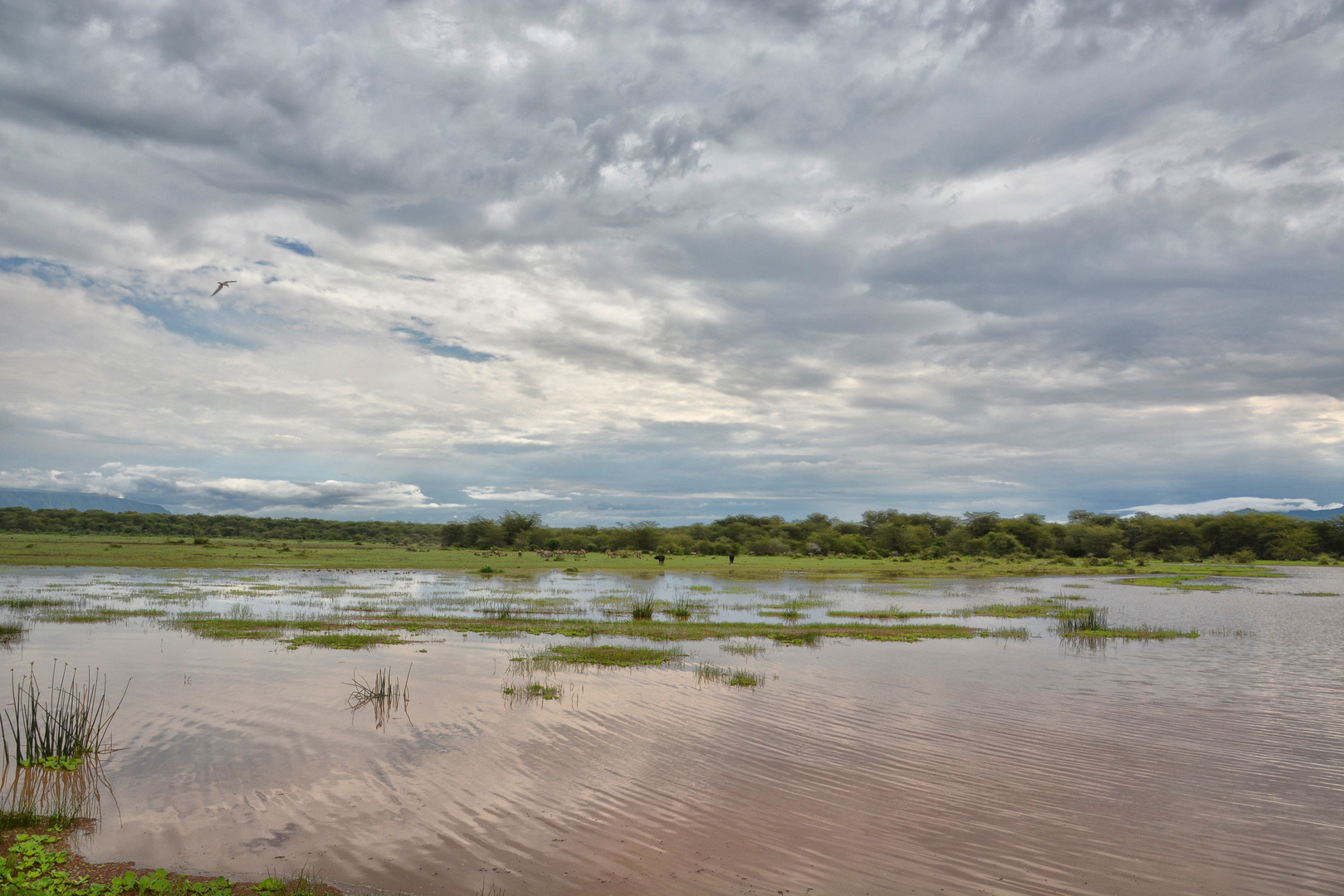 Lake Manyara