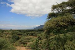 Lake Manyara (5)