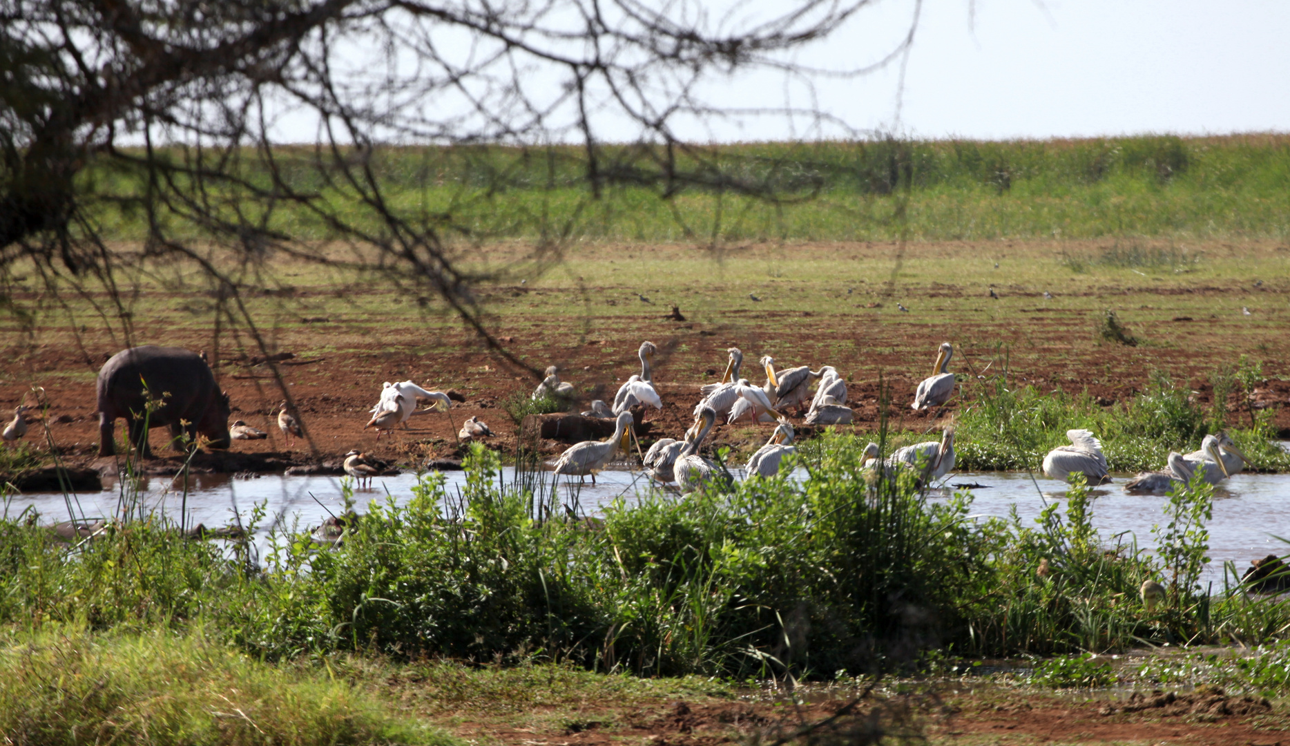 Lake Manyara