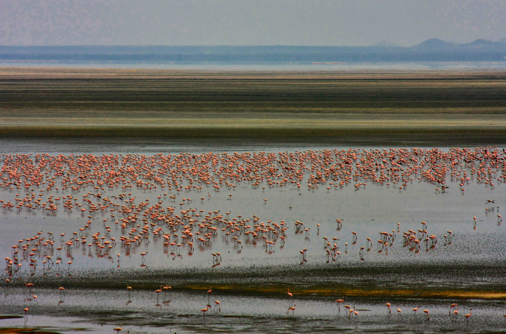 Lake Manyara....