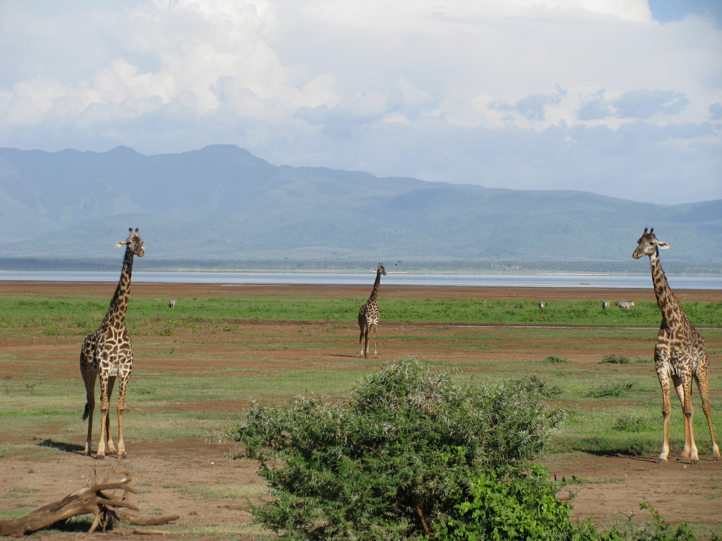 Lake Manyara