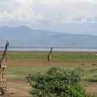 Lake Manyara