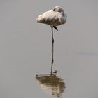 Lake Manyara, Tansania