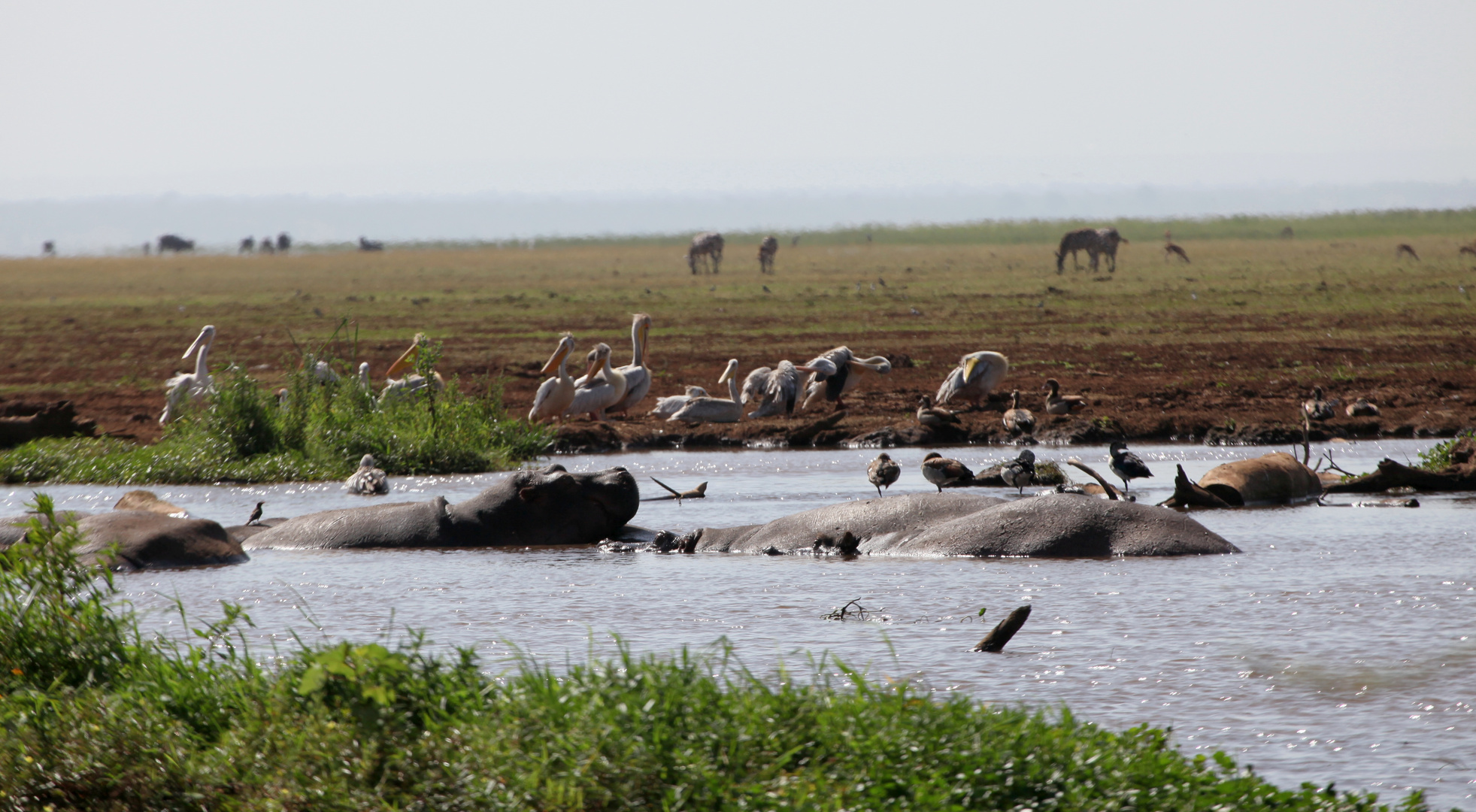 Lake Manyara_2