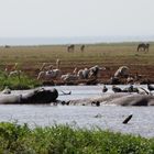 Lake Manyara_2