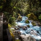 Lake Marian Trail Rapids