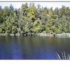 Lake Matheson