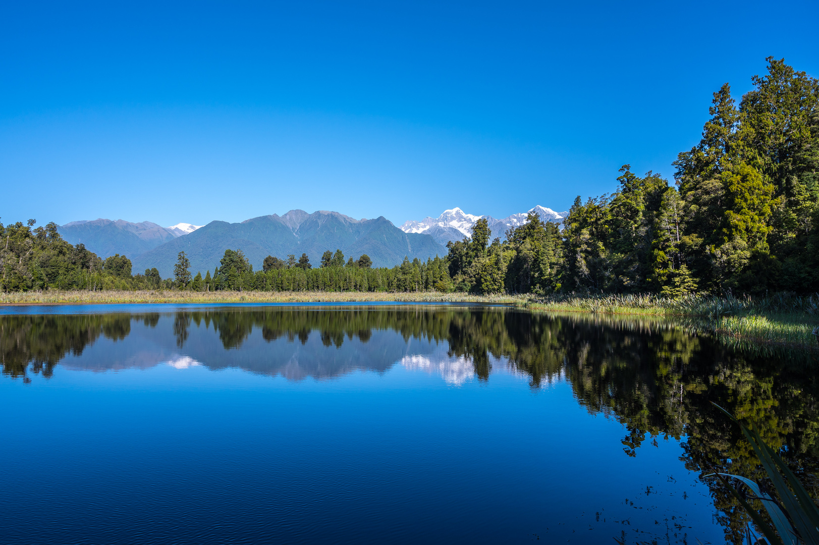 Lake Matheson - Fox Glacier - West Coast - Südinsel Neuseeland