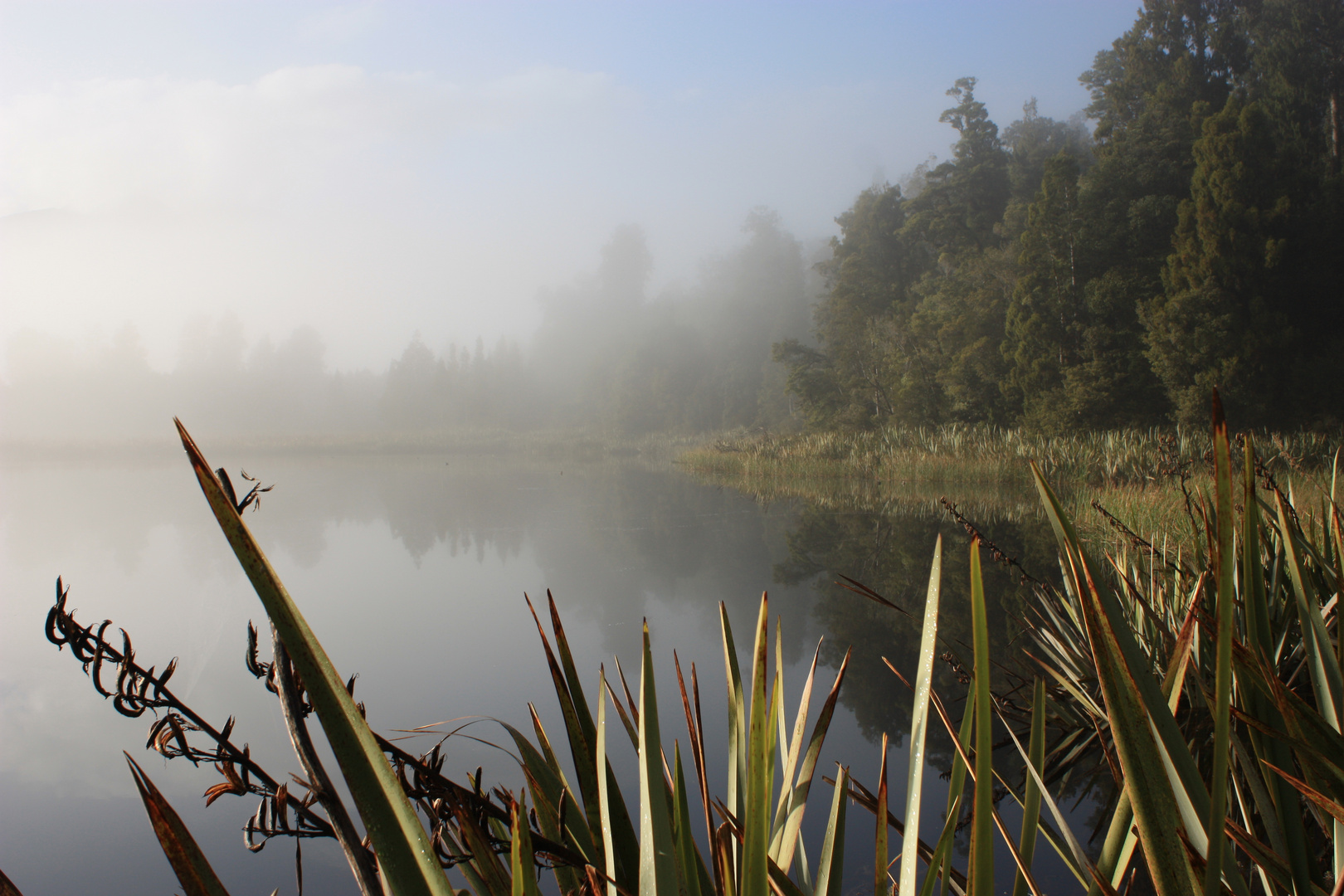 Lake Matheson im Nebel