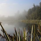 Lake Matheson im Nebel