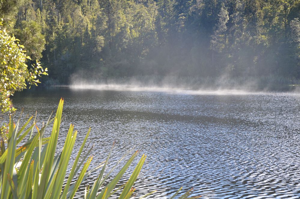 Lake Matheson Neuseeland