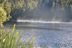 Lake Matheson Neuseeland