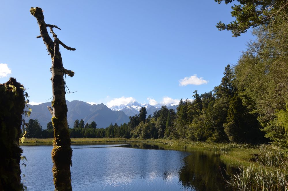 Lake Matheson Neuseeland