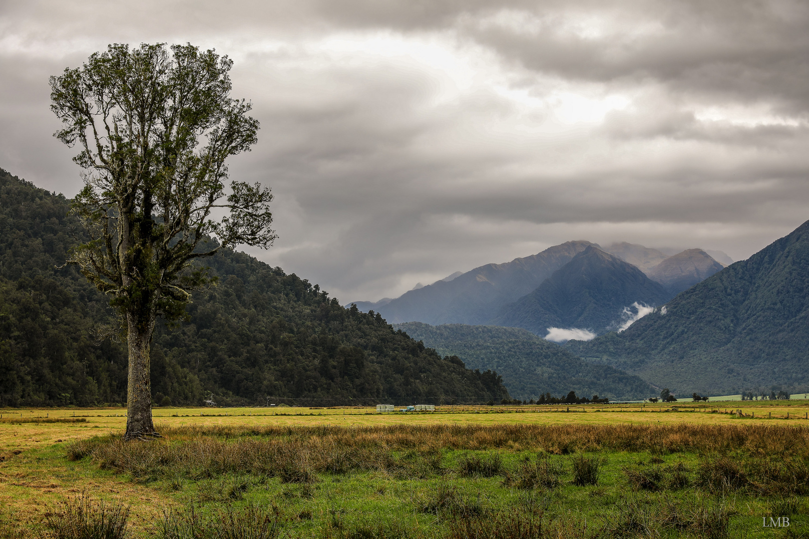 Lake Matheson Walk