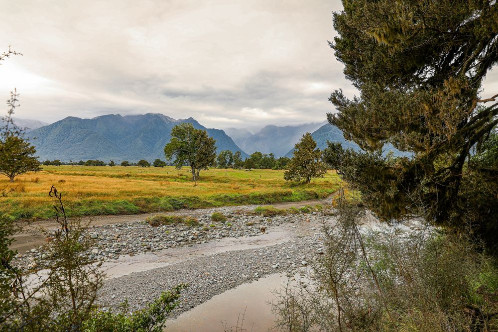 Lake Matheson Walk