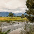 Lake Matheson Walk