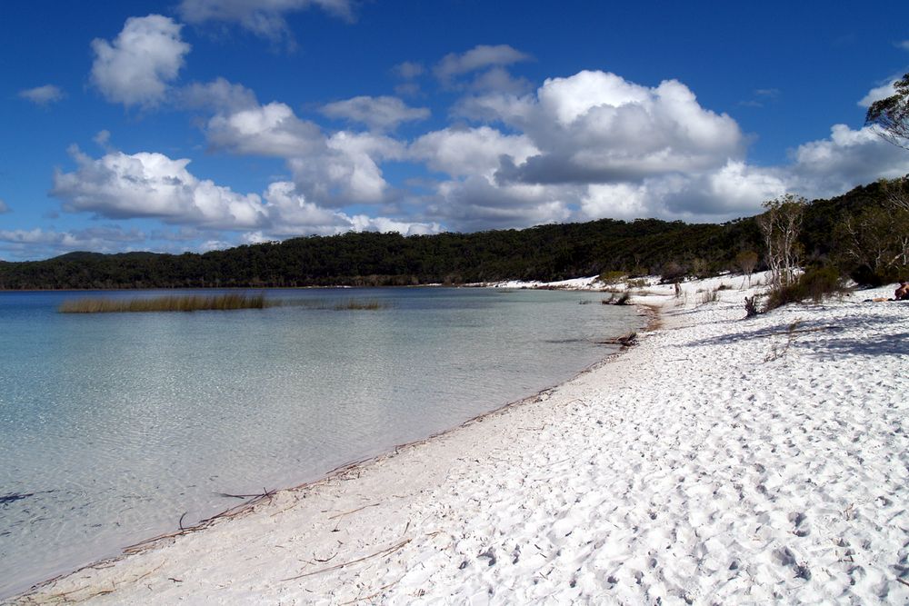 Lake Mc Kenzie