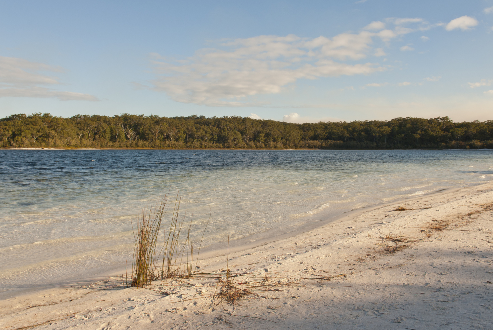 Lake Mc Kenzie