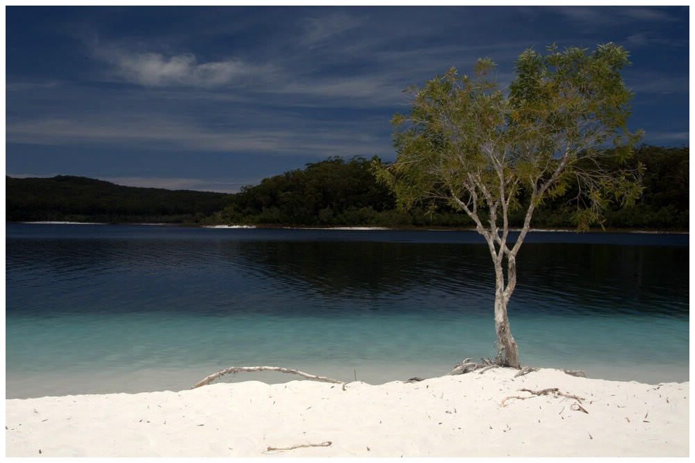 Lake Mc Kenzie