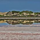 * Lake McDonald /  Cactus Beach SA *