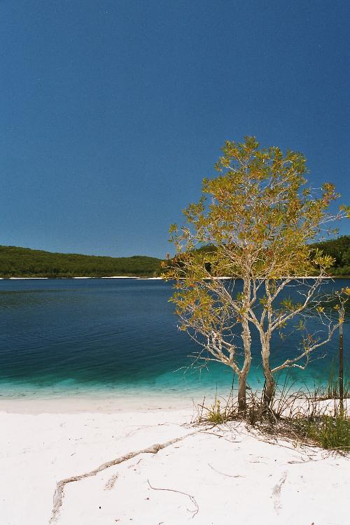 Lake McKenzie