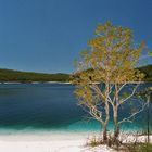 Lake McKenzie