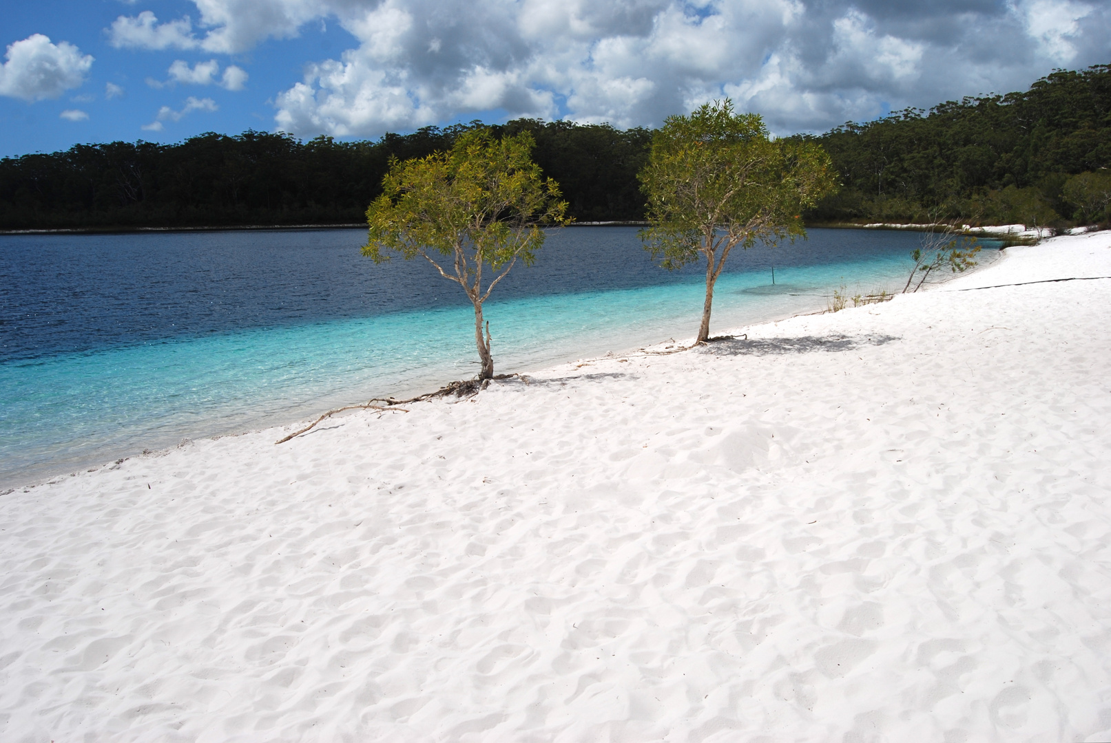 Lake McKenzie - A dream!