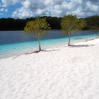 Lake McKenzie - A dream!