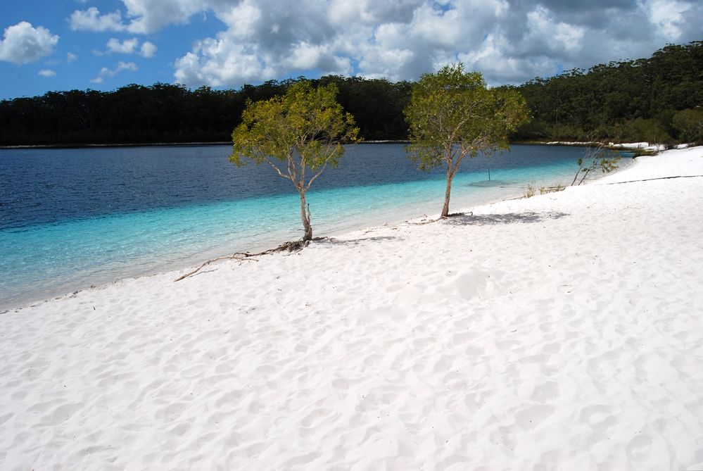 Lake McKenzie - A dream!