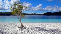 Lake McKenzie