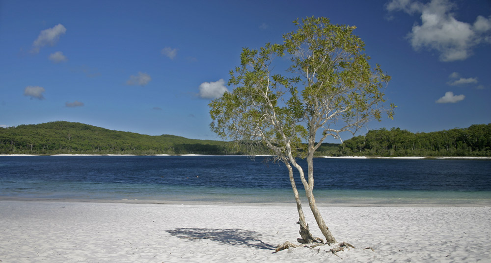 Lake McKenzie auf Fraser Island