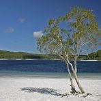 Lake McKenzie auf Fraser Island